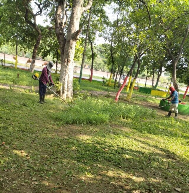 5c9cade2-82b3-47e8-a33c-9472a3fca514 (1)