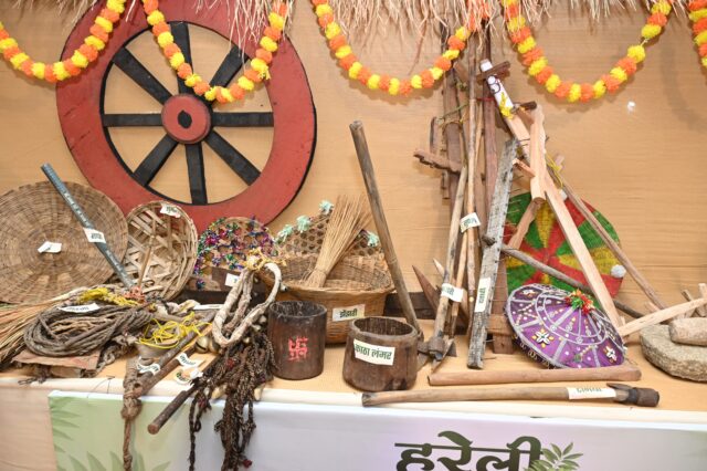 WhatsApp Image 2025-07-24 at 11.57.41 AM