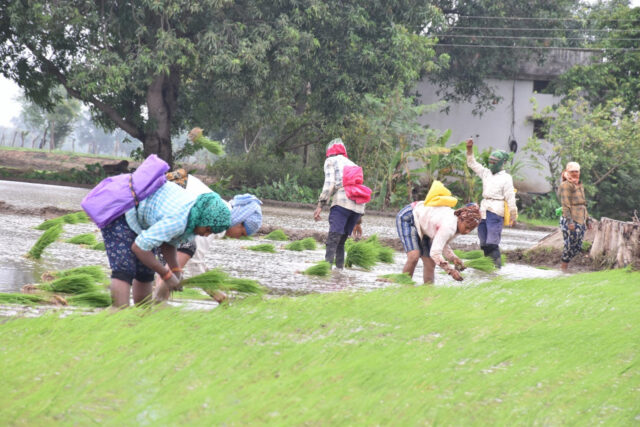 1754655604_2f9503cb2bc8a79f8a26