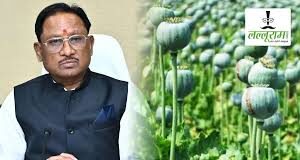 अफीम की अवैध खेती पर मुख्यमंत्री श्री विष्णु देव साय का कड़ा रुख