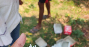 नगर निगम पर्यावरण एवं उद्यानिकी विभाग द्वारा लाभांडी संकल्प सोसायटी में वर्ष 2022-23 में बल्क प्लांटेशन पद्धति अंतर्गत सघन पौधरोपण कर रोपित पौधों की गणना कर टेंगिग करवाकर संख्या रिकार्ड करने का कार्य निरन्तर प्रगति पर