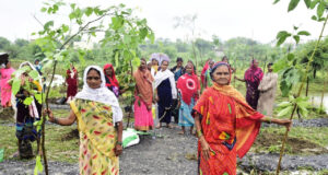 हरित विकास, जल संरक्षण और जनभागीदारी से पर्यावरणीय समृद्धि की ओर बढ़ता छत्तीसगढ़