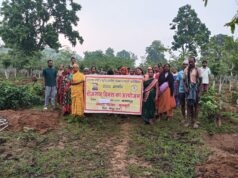 जशपुर की सभी ग्राम पंचायतों में रोजगार दिवस का आयोजन, मनरेगा से रोजगार और विकास को मिली नई गति
