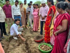 धमतरी का ‘नगरी’ बनेगा हल्दी उत्पादन का नया हब: 250 किसानों ने थामा वैज्ञानिक खेती का हाथ, 250 टन पैदावार का लक्ष्य