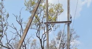 दशकों का अंधेरा छँटा: ‘नियद नेल्लानार योजना’ से जगमगाए नारायणपुर के वनांचल गांव
