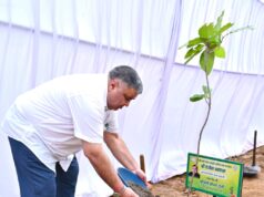 “एक पेड़ माँ के नाम” अभियान के तहत मंत्री श्री राजेश अग्रवाल ने नवीन विधानसभा परिसर में लगाया पौधा