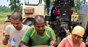 कृषि विभाग के सहयोग से कम लागत में आधुनिक बुवाई का सफल मॉडल बना किसानों के लिए प्रेरणा