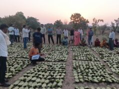 साय सरकार के सुशासन में तेन्दूपत्ता संग्राहकों को मिली आर्थिक मजबूती, 10,160 हितग्राहियों के खातों में पहुँची 1.39 करोड़ रुपये से अधिक की बोनस राशि