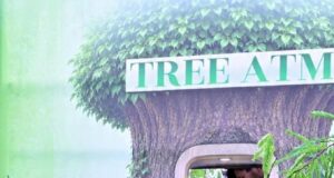 आज लगाया गया हर पौधा आने वाली पीढ़ियों के सुरक्षित भविष्य का आधार बनेगा : मुख्यमंत्री श्री विष्णुदेव साय