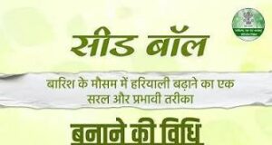 सीड बॉल अभियान- हरियाली बढ़ाने का सरल और प्रभावी माध्यम