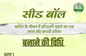 सीड बॉल अभियान- हरियाली बढ़ाने का सरल और प्रभावी माध्यम