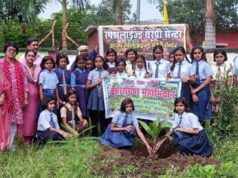 पीएमश्री नवोदय विद्यालय डोंगरगढ़ में वृक्षारोपण, रोपे गए पौधे