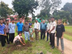 नवोदय विद्यालय में पूर्व विद्यार्थियों ने लगाए 80 नारियल के पौधे
