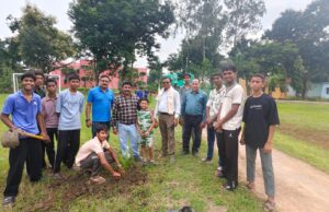नवोदय विद्यालय में पूर्व विद्यार्थियों ने लगाए 80 नारियल के पौधे