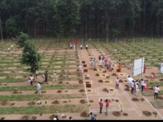 हरियाली के साथ ग्रामीणों को रोजगार की नई राह दे रहा विकसित भारत – जीरामजी