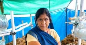 आत्मनिर्भरता की नई मिसाल- खेतों से मशरूम उत्पादन तक मिथिला दीदी ने लिखी सफलता की नई कहानी
